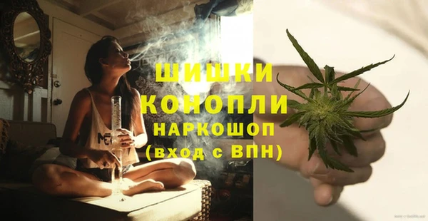 ПСИЛОЦИБИНОВЫЕ ГРИБЫ Арсеньев