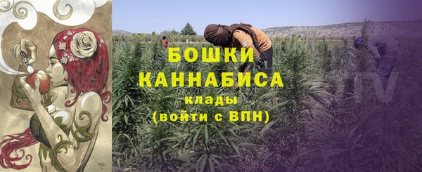 ПСИЛОЦИБИНОВЫЕ ГРИБЫ Арсеньев